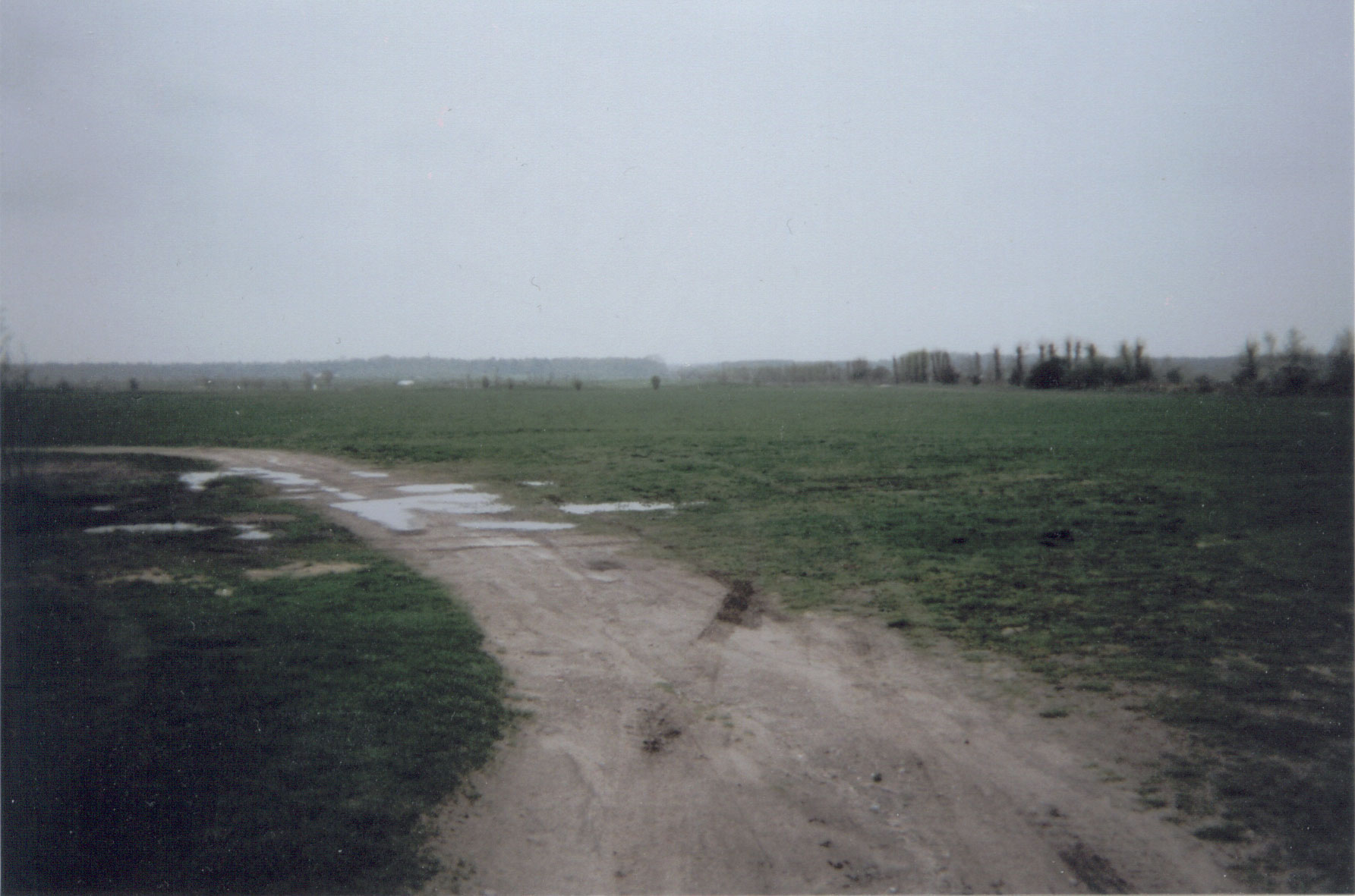 Stolpe Field. Photo: Franz Nörling